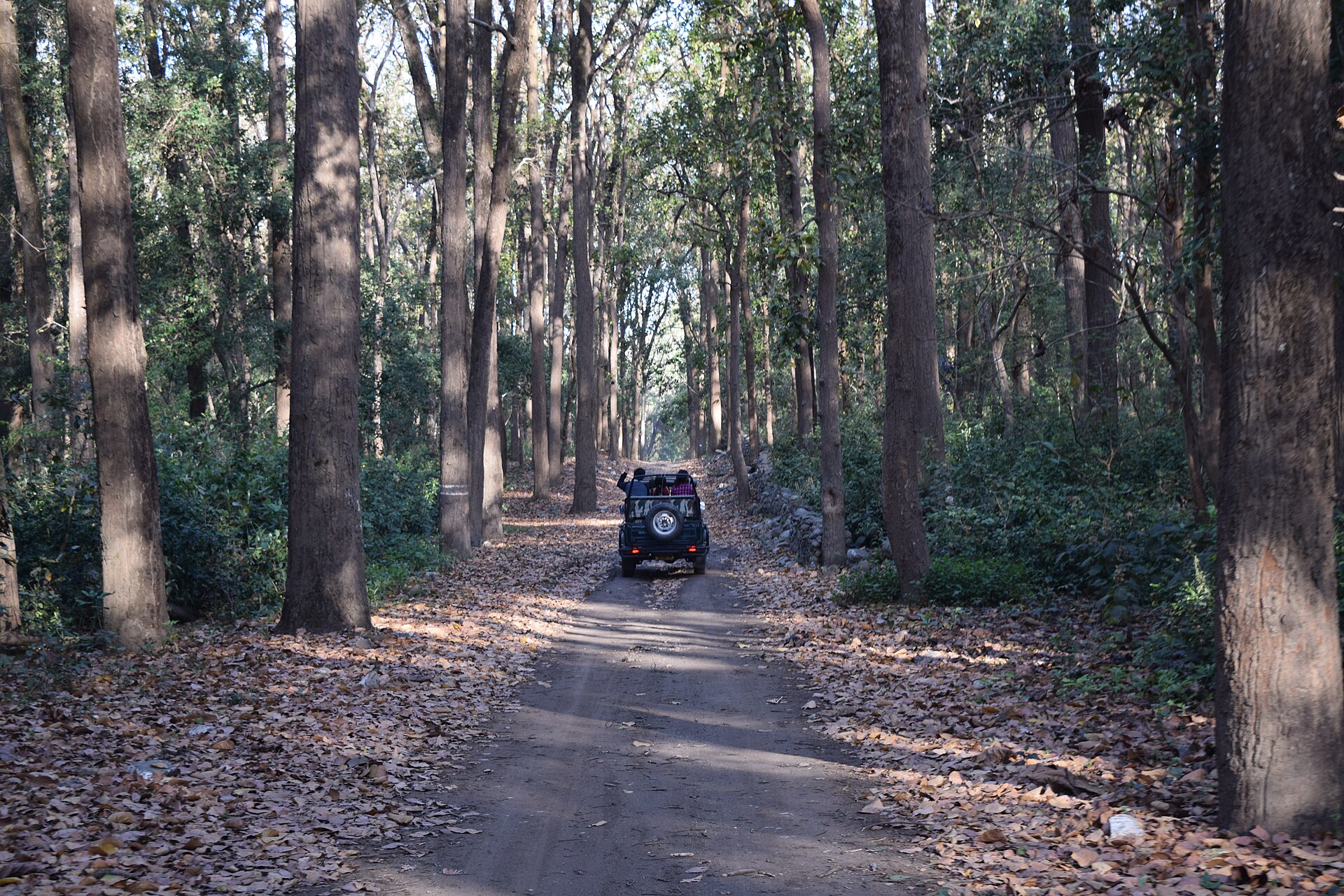 Jeep Safari in Jim Corbett