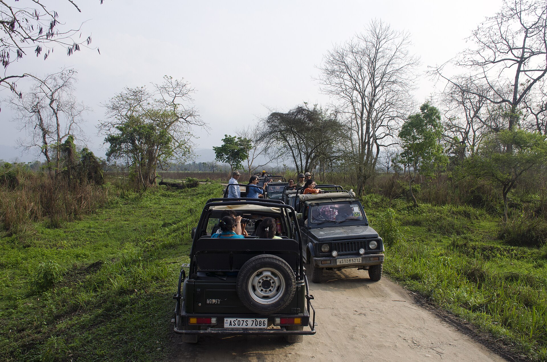 Jeep Safari in Kaziranga