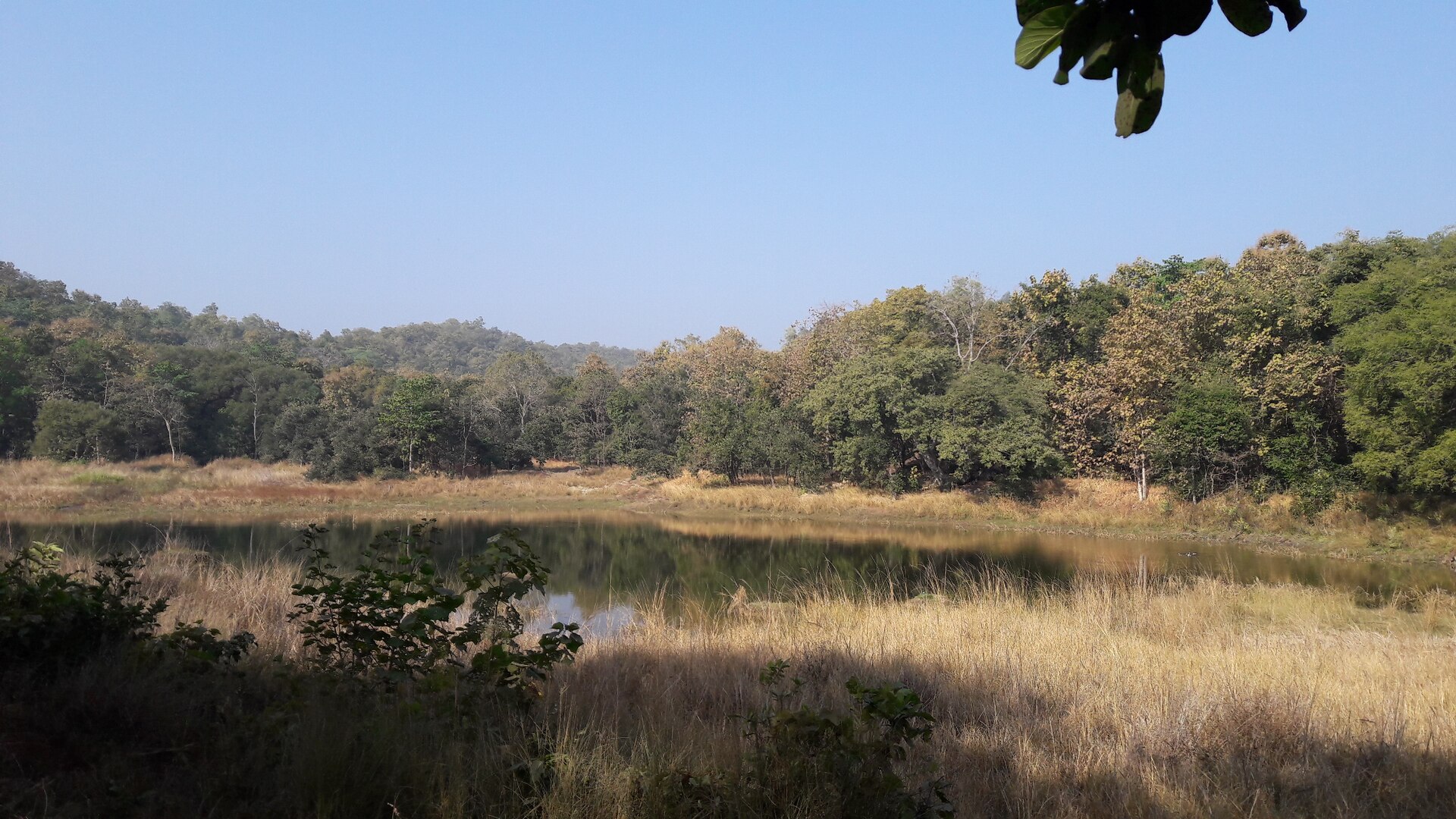 Jeep Safari in Pench