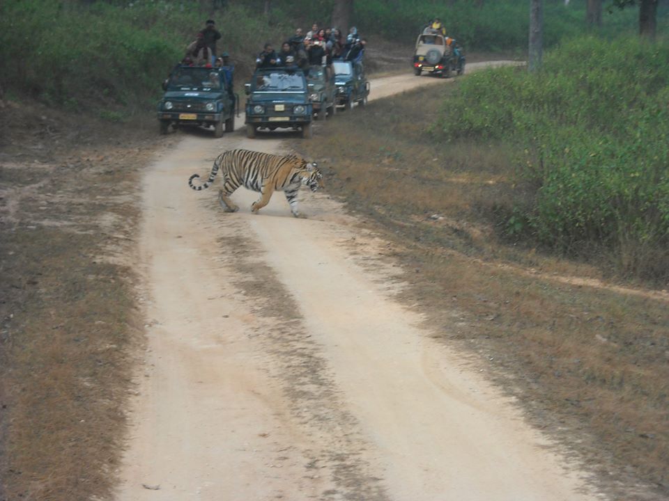 Jeep Safari in Ranthambore