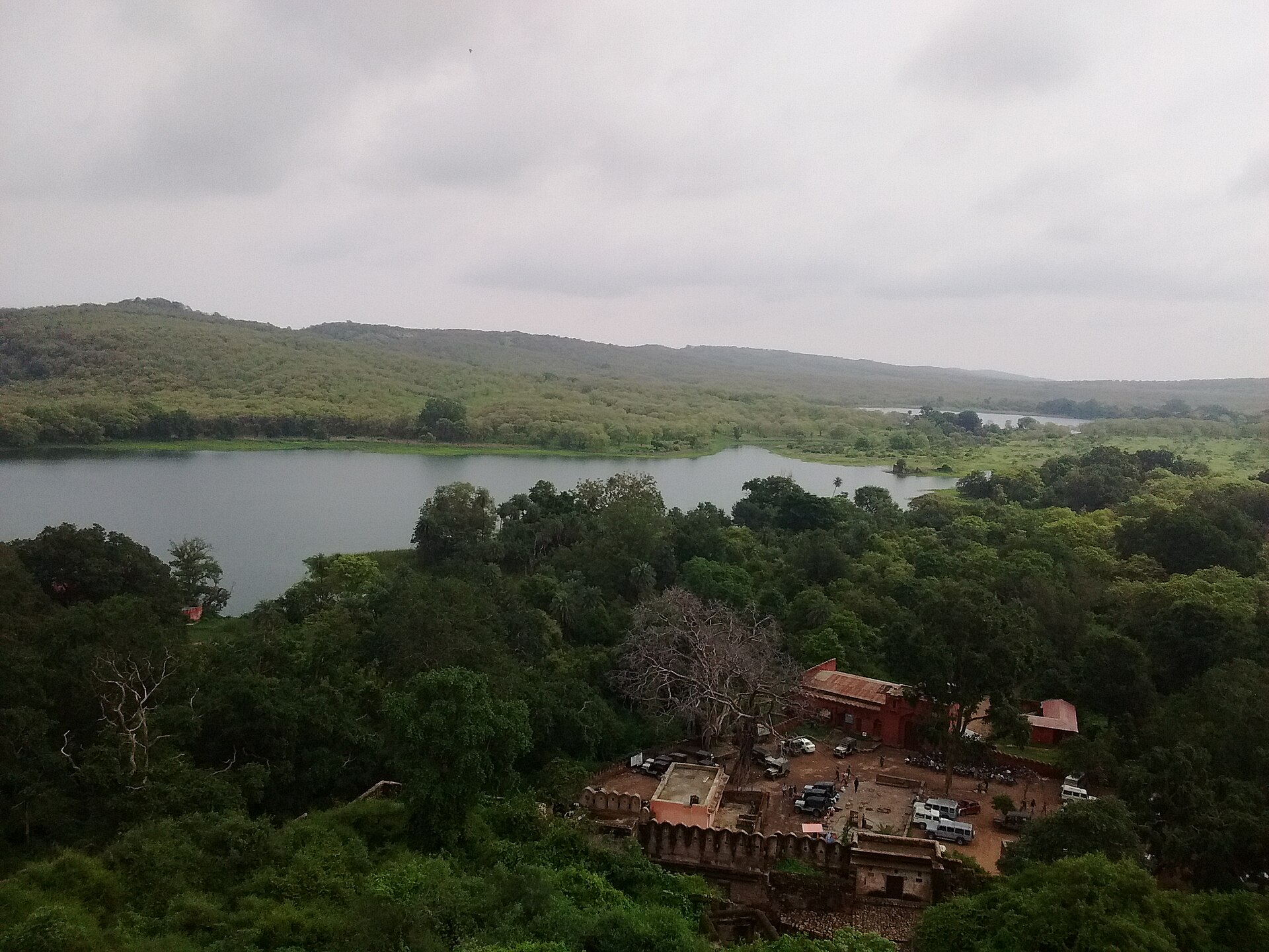 Landscape — Ranthambore National Park
