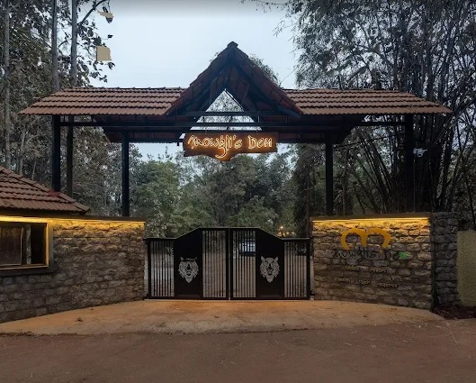 Mowglis Den Turia- Madhya Pradesh