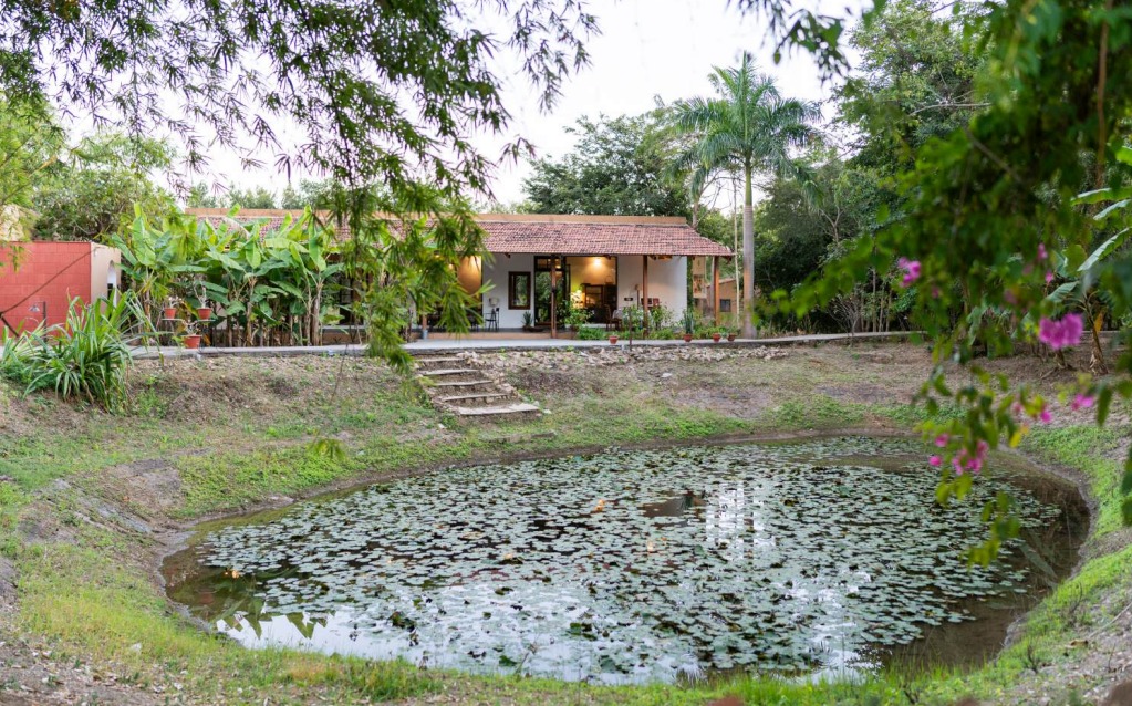 Mahua Tola Tadoba