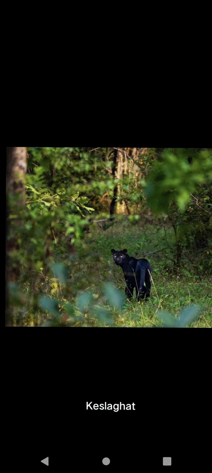 Kanha National Park